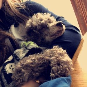 Meet your Posher, Chloe